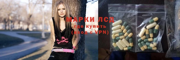 стафф Коряжма