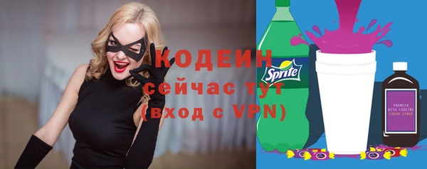 стафф Коряжма