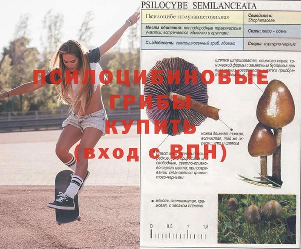 стафф Коряжма