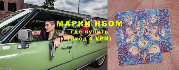 стафф Коряжма