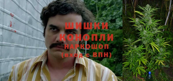 стафф Коряжма