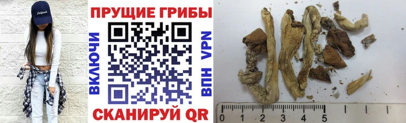 Галлюциногенные грибы Magic Shrooms Смоленск